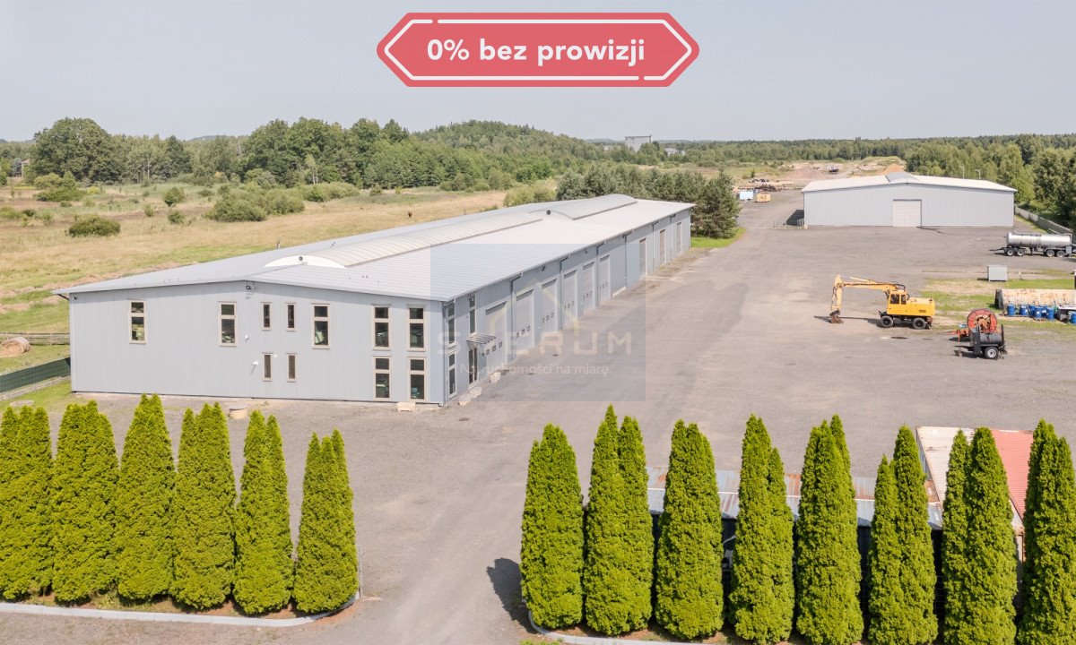 Lokal użytkowy na wynajem Osiny  1 150m2 Foto 1