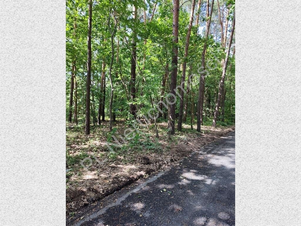 Działka 5610 m2 z lasem, mediami, Żółwin Żółwin  5 610m2 Foto 1