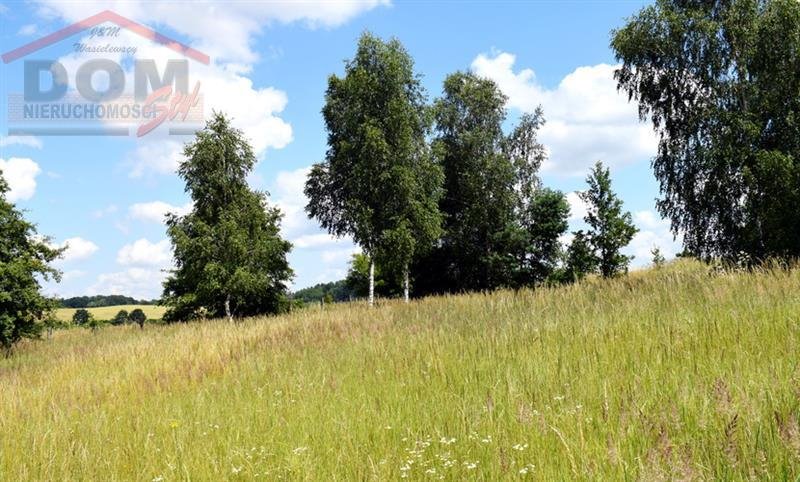 Działka inna na sprzedaż Gudowo  15 600m2 Foto 12