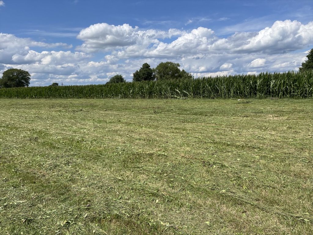 Działka budowlana na sprzedaż Dobrzyniewo Duże  1 185m2 Foto 2