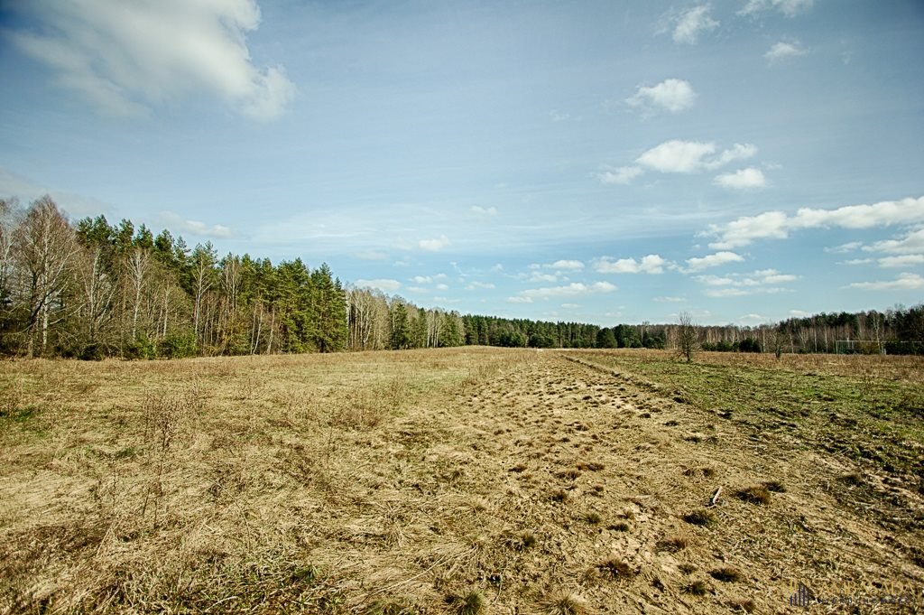 Działka inna na sprzedaż Zarzeczany  3 000m2 Foto 3