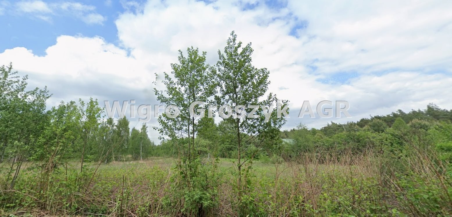 Działka inna na sprzedaż Adamówek  8 087m2 Foto 1