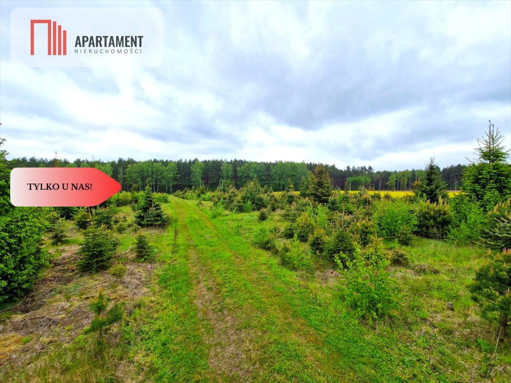Sprzedam 4 działki rekreacyjne 3000 m² z lasem w Bietowie Bietowo  2 996m2 Foto 1