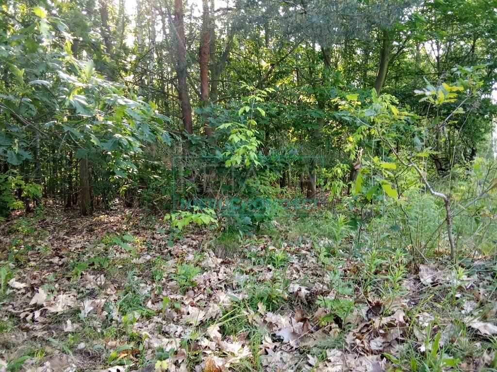 Działka rolna na sprzedaż Ojrzanów  18 603m2 Foto 1