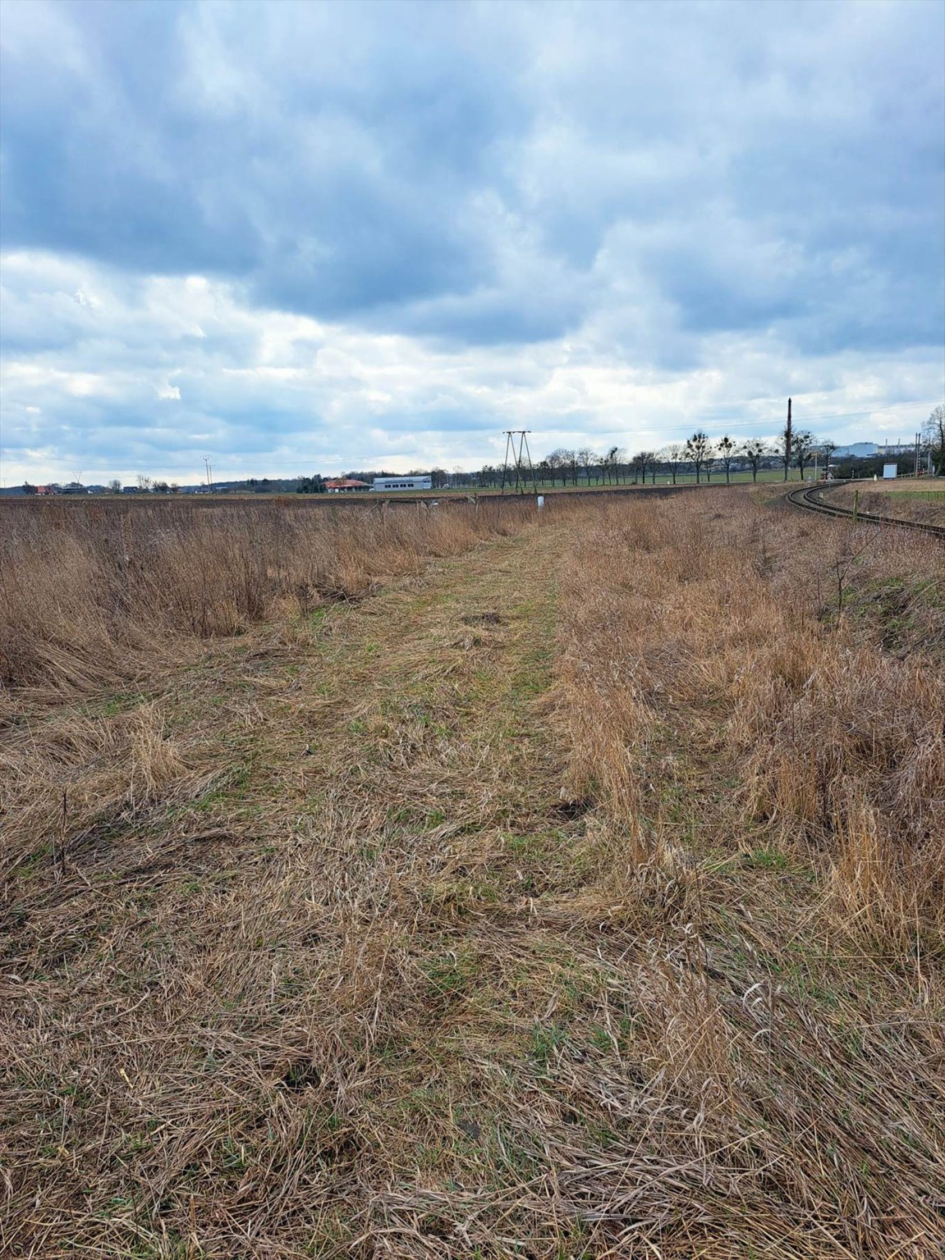 Działka przemysłowo-handlowa na sprzedaż Bolechowo, Bolechowo, Krańcowa  6 215m2 Foto 7