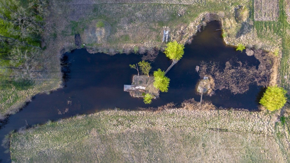 Dom na sprzedaż Rogów  120m2 Foto 6