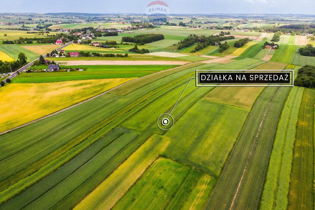 Działka inna na sprzedaż Skała  8 350m2 Foto 6