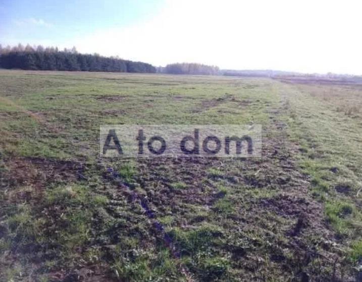 Na sprzedaż działka 3,5 ha pod inwestycję z dostępem do mediów Rojków  35 343m2 Foto 1