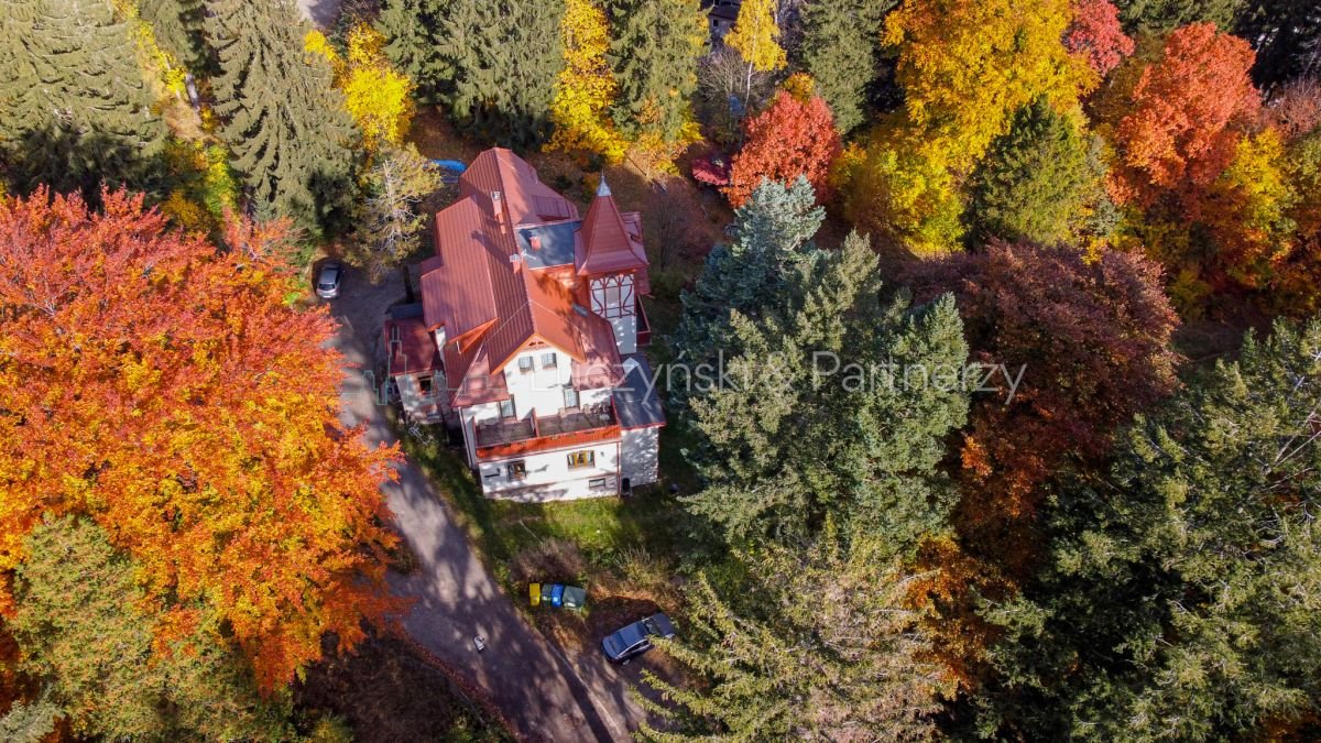 Lokal użytkowy na sprzedaż Szklarska Poręba  650m2 Foto 1