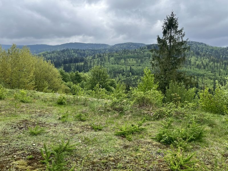 Działka budowlana na sprzedaż Wisła, Wisła  1 408m2 Foto 7