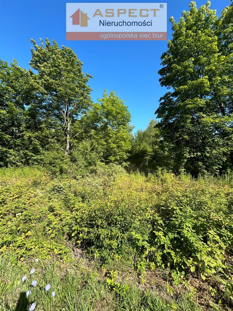 Działka inna na sprzedaż Turośń Kościelna, Baciuty  3 000m2 Foto 5