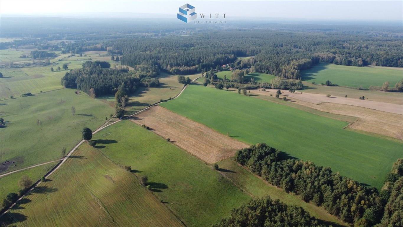 Działka budowlana na sprzedaż Molza  3 331m2 Foto 5