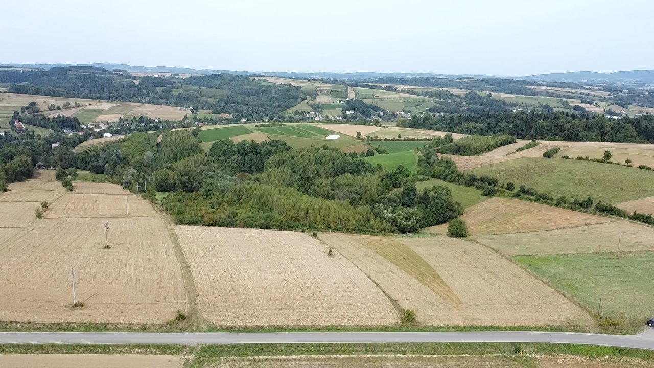 Działka budowlana na sprzedaż Binarowa  4 200m2 Foto 2