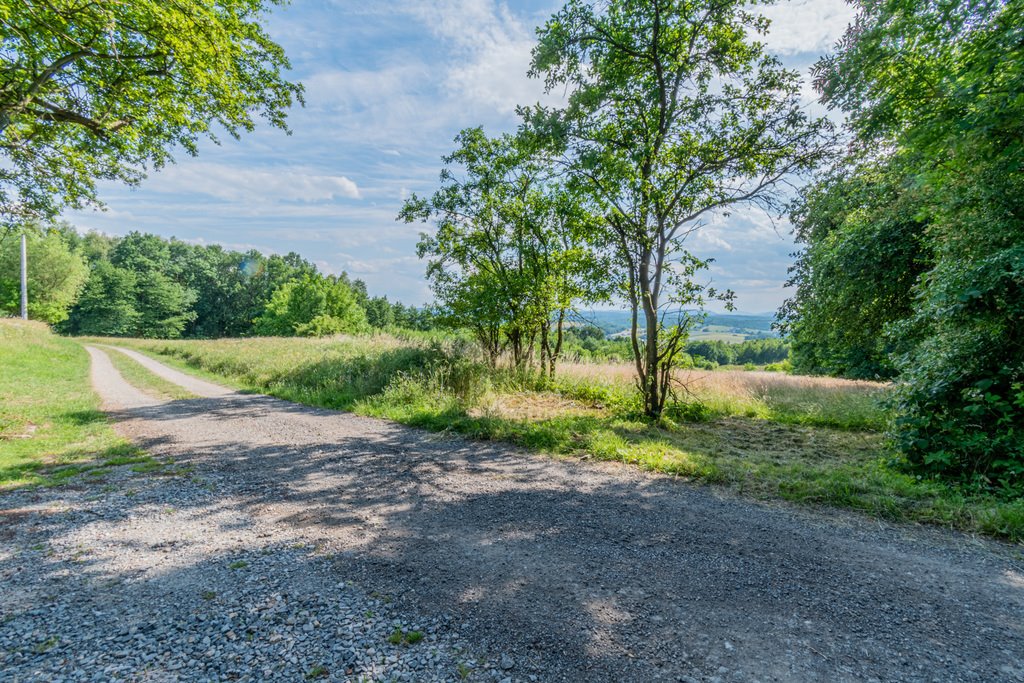 Działka budowlana na sprzedaż Okocim, os. Zalesie  10 300m2 Foto 17