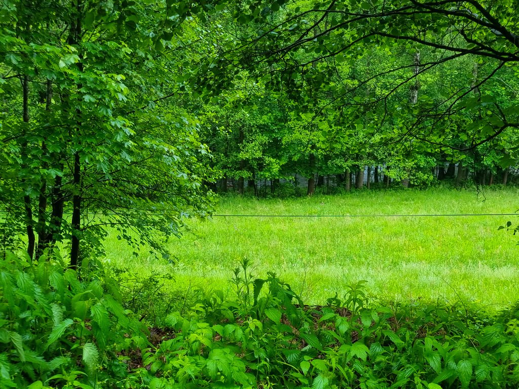 Działka inna na sprzedaż Niemojów  22 900m2 Foto 2