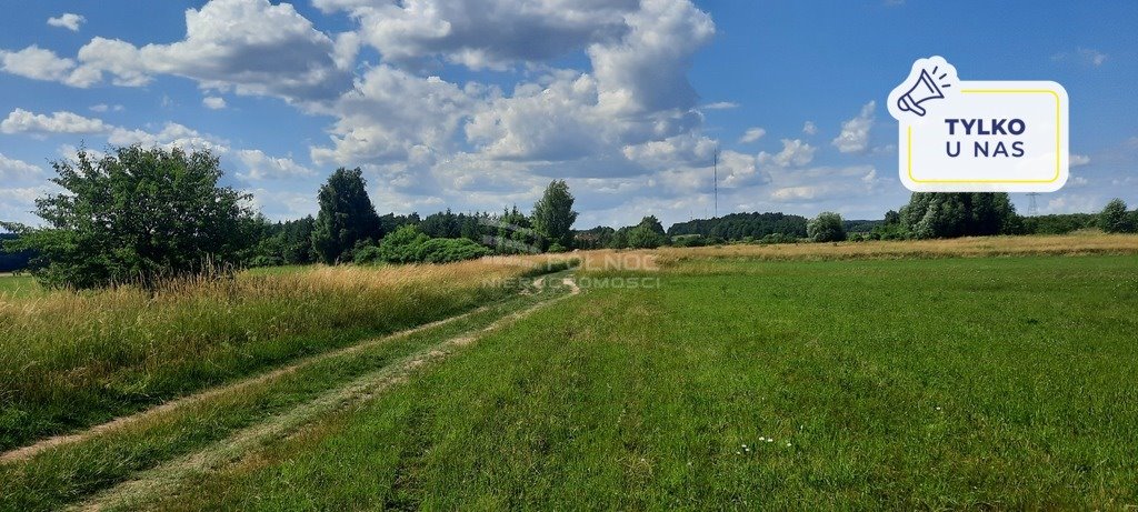 Działka rolna na sprzedaż Dobrzyniewo Kościelne  7 985m2 Foto 1