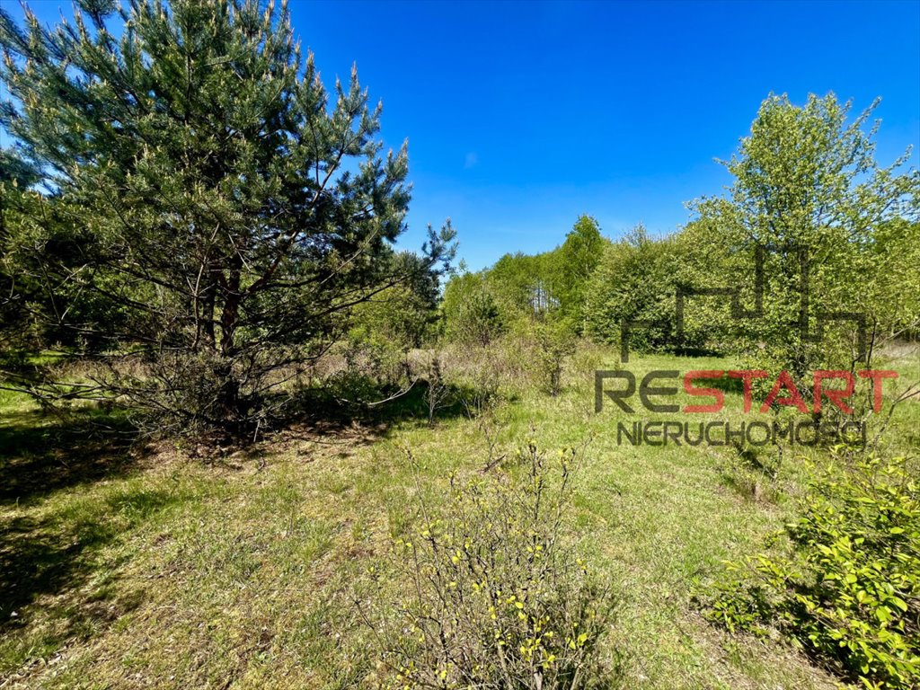 Polecam działkę 1215 m² w Budy-Grzybek z lasem i mediami Budy-Grzybek  1 215m2 Foto 1