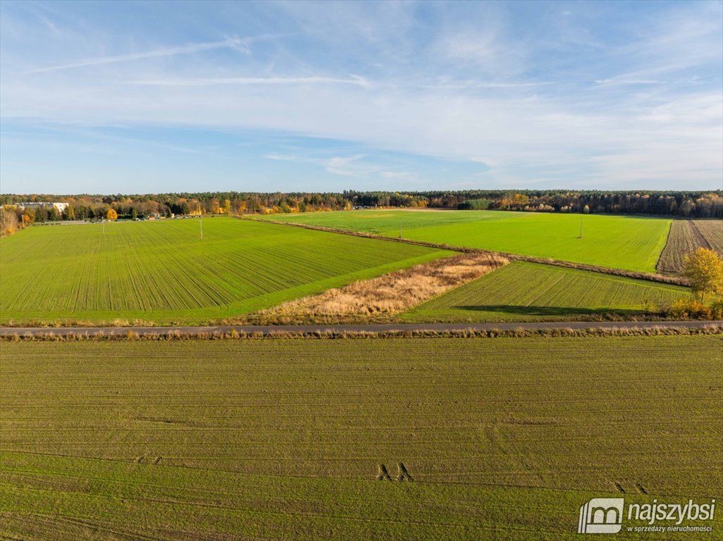 Działka rolna na sprzedaż Glewice, centrum  2 777m2 Foto 7