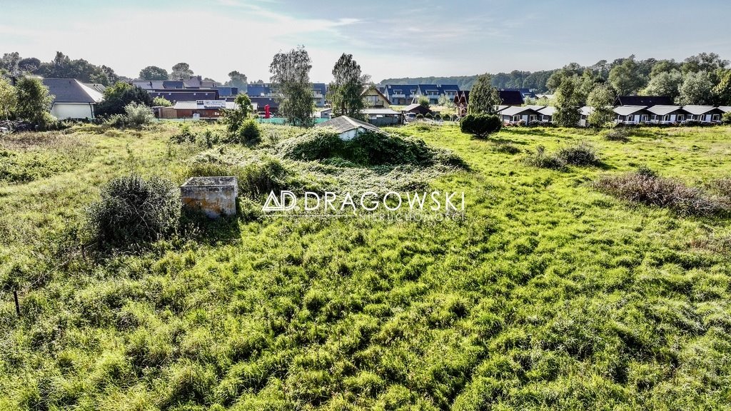 Zdjęcie 6