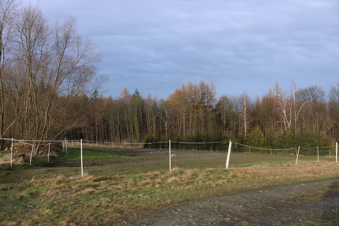 Działka budowlana na sprzedaż Kędzierzynka  1 839m2 Foto 4