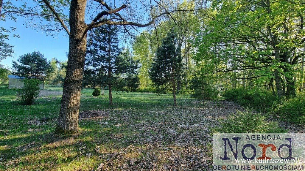 Urokliwa działka 3548 m² z prądem i wodą w Gabowych Grądach Gabowe Grądy  3 548m2 Foto 1