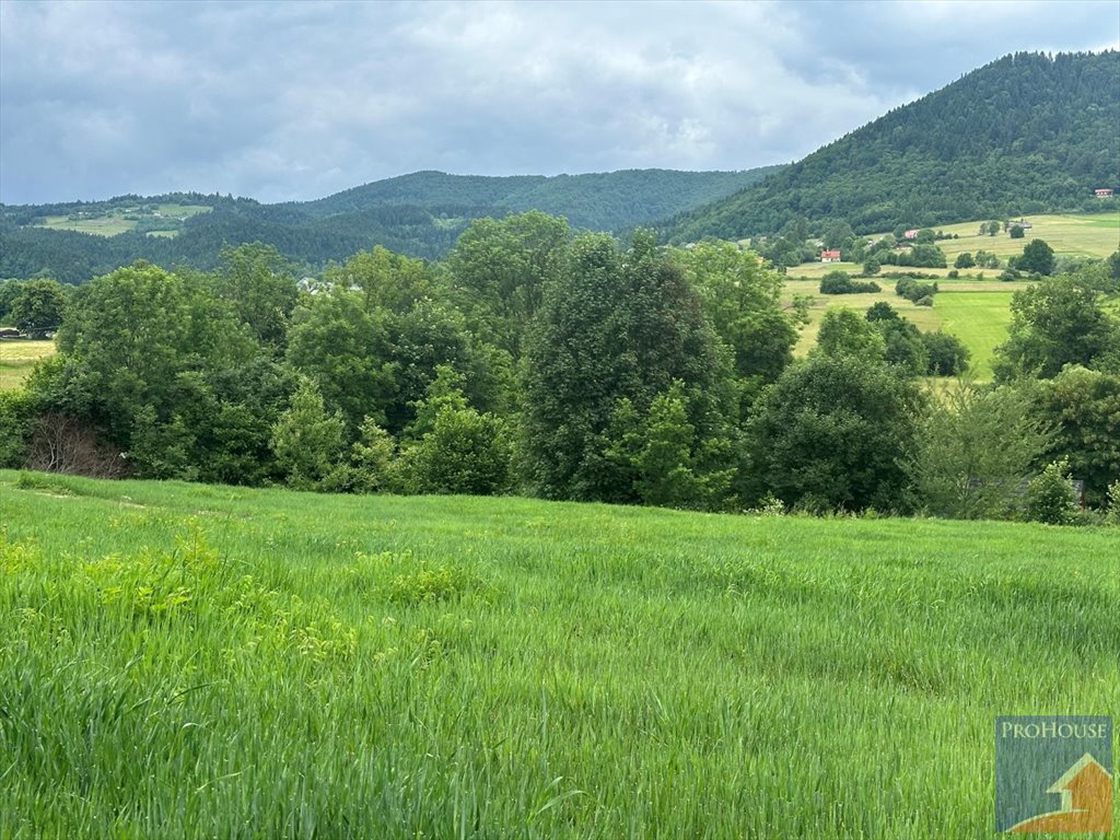 Działka pod zabudowę 4873 m² z warunkami na dom jednorodzinny Pisarzowa  4 873m2 Foto 1