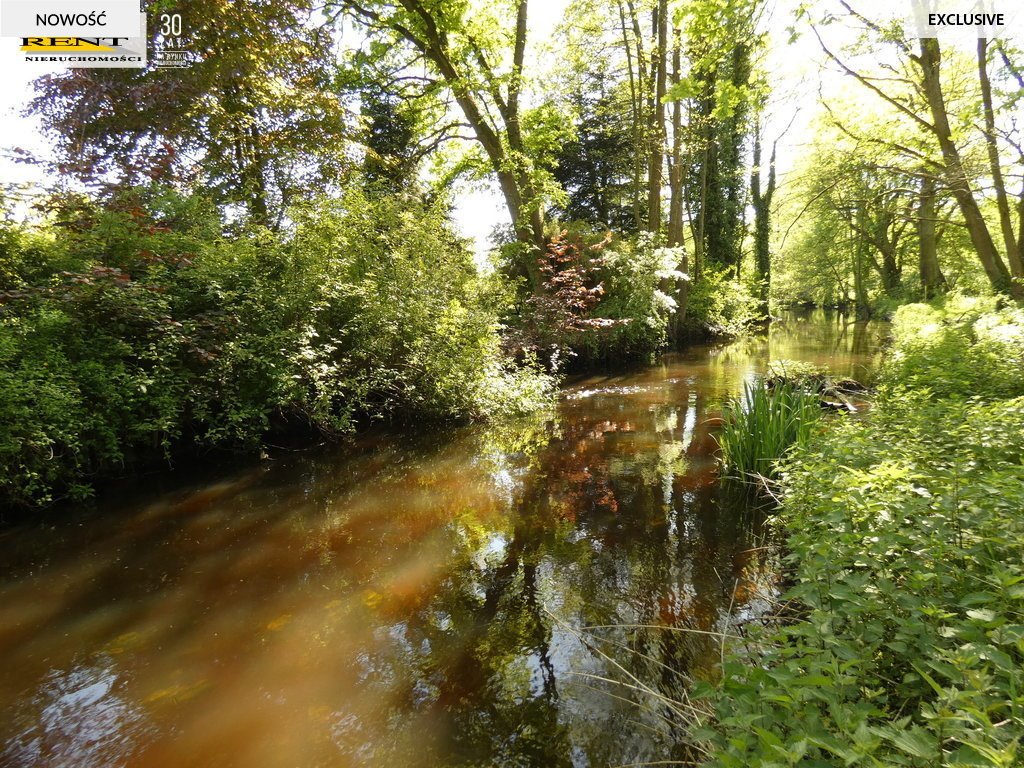 Działka budowlana na sprzedaż Łoźnica  3 004m2 Foto 7