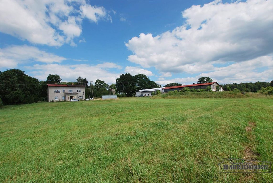 Lokal użytkowy na sprzedaż Brzeźnica  1 759m2 Foto 5