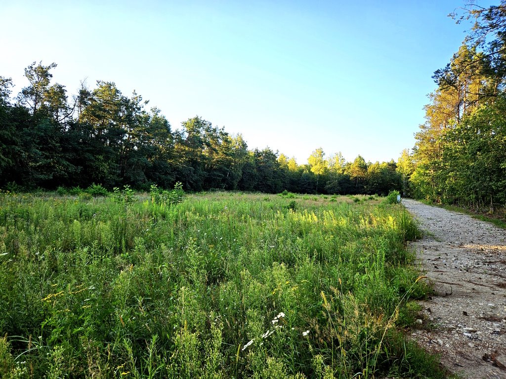 Działka budowlana na sprzedaż Łódź, Kolumny  1 000m2 Foto 1