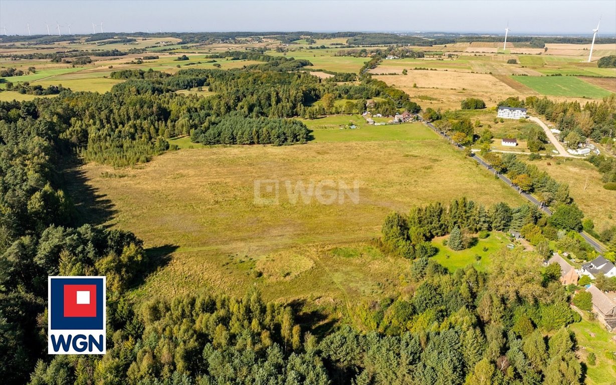 Działka siedliskowa na sprzedaż Kanin, Kanin  3 199m2 Foto 6