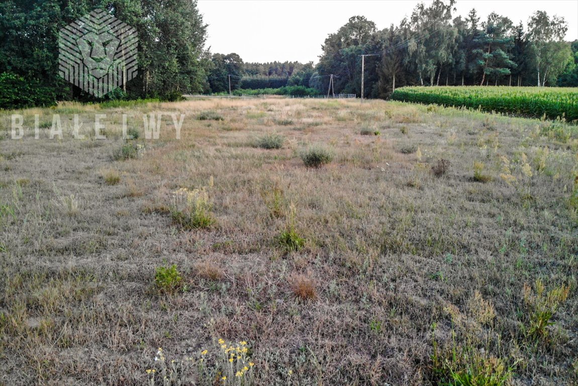 Działka rolna na sprzedaż Baraki  3 000m2 Foto 11