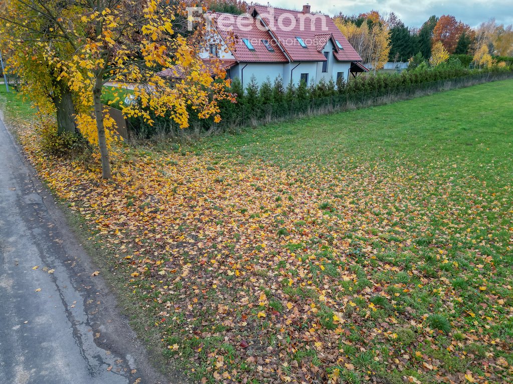 Działka rolna na sprzedaż Laseczno, Laseczno Małe  3 000m2 Foto 9