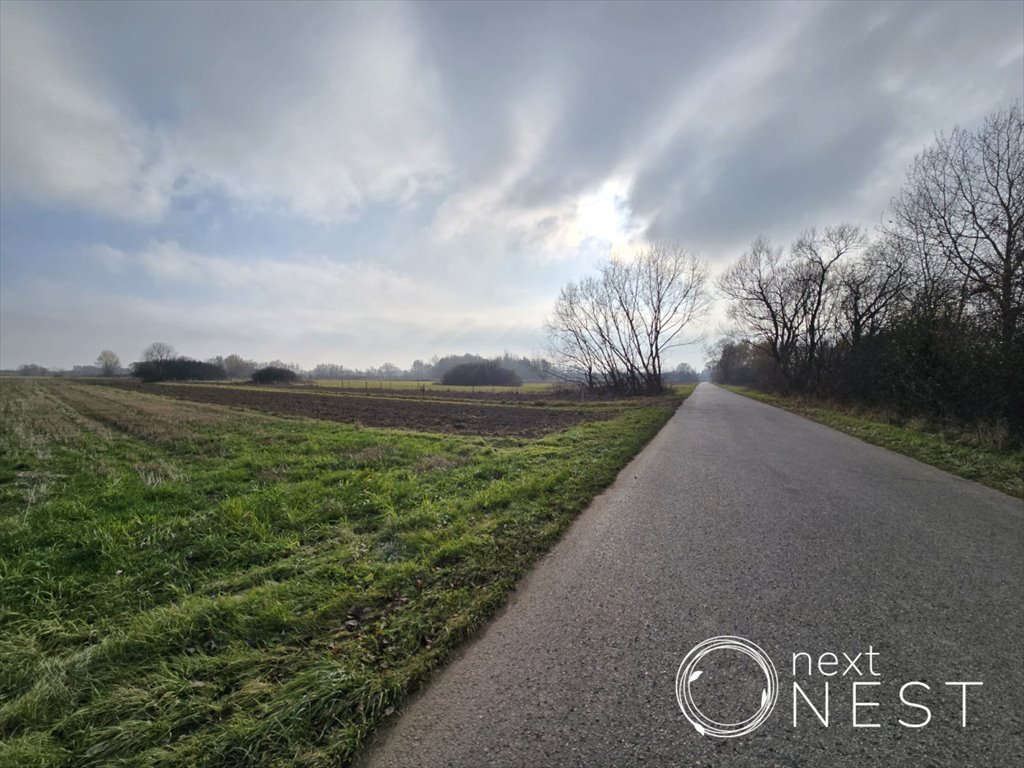 Działka siedliskowa na sprzedaż Wilczkowice Dolne  8 000m2 Foto 11