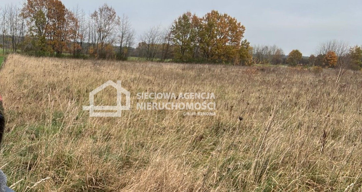 Zapraszam do zakupu działki 3205 m² z możliwością zabudowy Kierzkowo  3 205m2 Foto 1