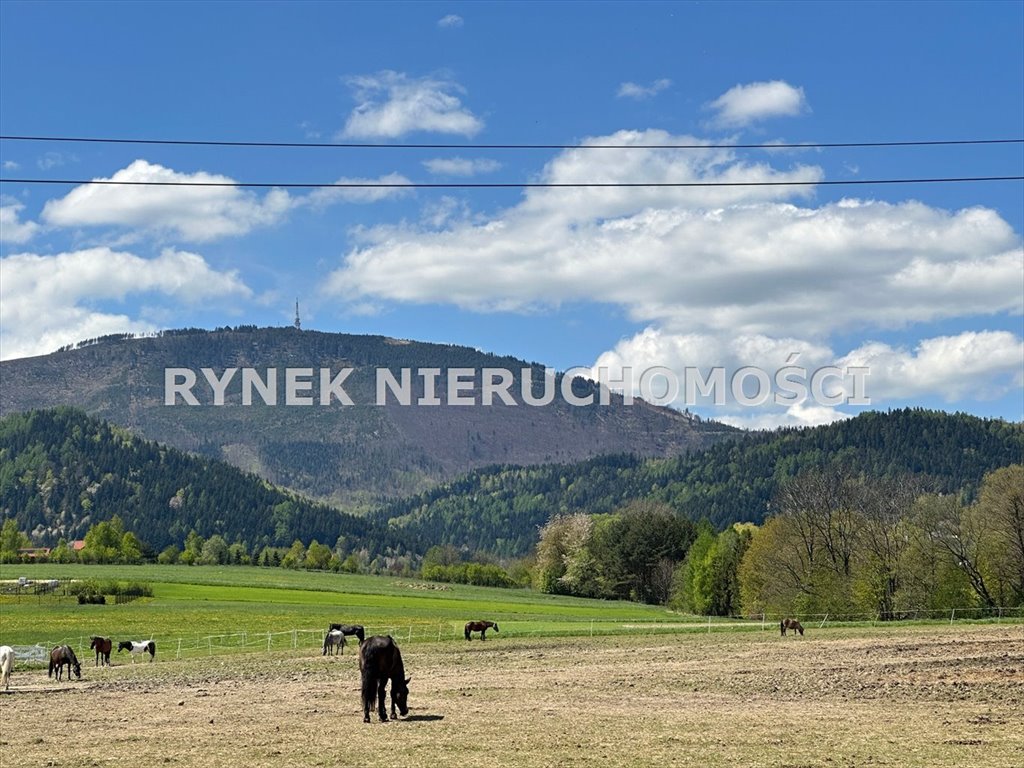 Dom na sprzedaż Lipowa  112m2 Foto 18