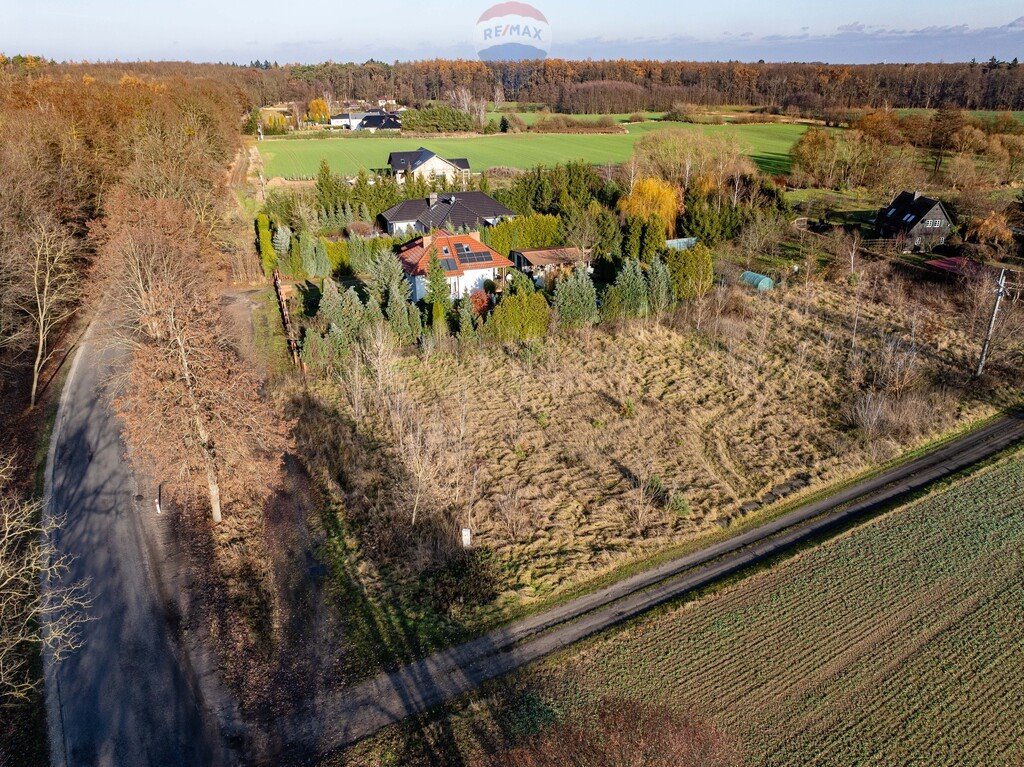 Działka budowlana na sprzedaż Grzebienisko, Szamotulska  2 385m2 Foto 8