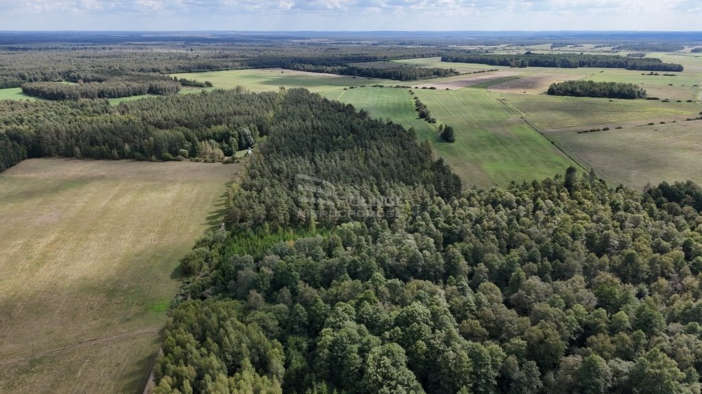 Działka leśna na sprzedaż Pieńczykowo  118 093m2 Foto 5