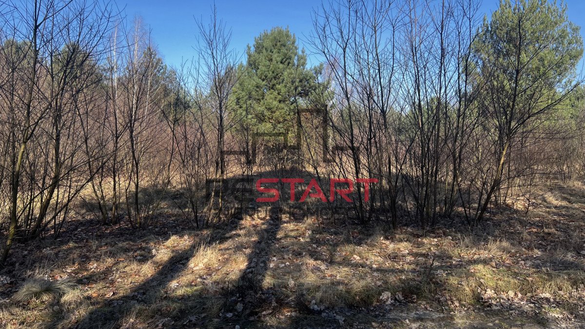 Działka budowlana na sprzedaż Sokule  1 141m2 Foto 5