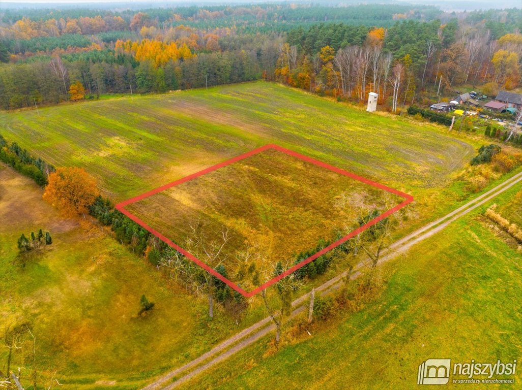 Działka budowlana na sprzedaż Węgorza, Wieś  1 557m2 Foto 1