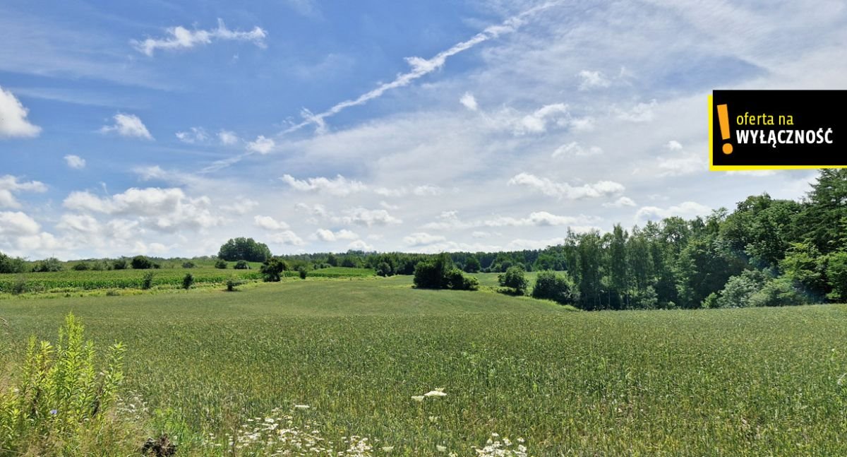 Działka rolna na sprzedaż Łęcze  66 300m2 Foto 5