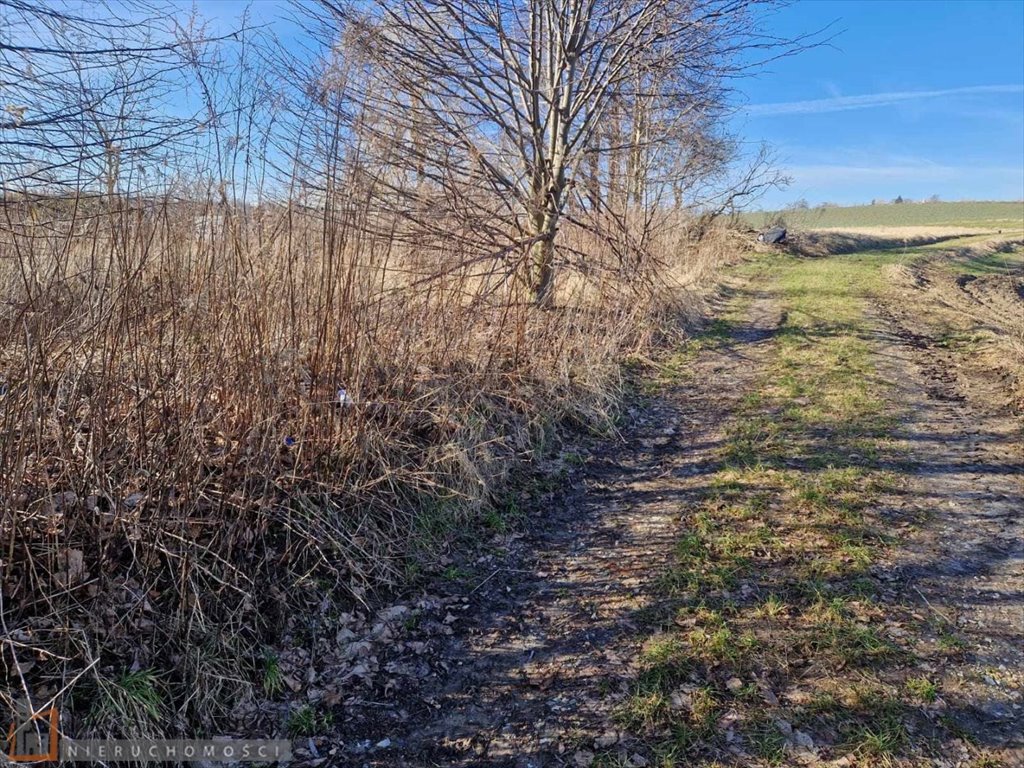 Działka budowlana na sprzedaż Kocmyrzów  1 500m2 Foto 3