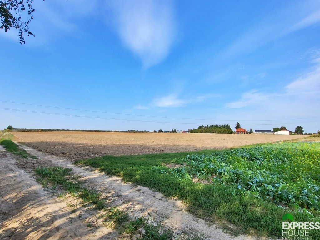 Działka rolna na sprzedaż Dziuchów  10 900m2 Foto 2