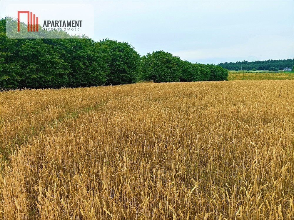 Działka budowlana na sprzedaż Osówiec  862m2 Foto 1