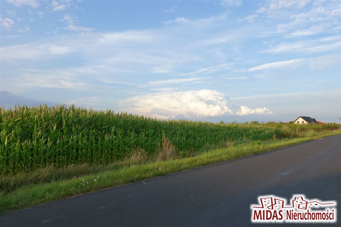 Działka inna na sprzedaż Zarzeczewo 9 366m2 Foto 1 Działka inna na sprzedaż Zarzeczewo 9 366m2 Foto 1