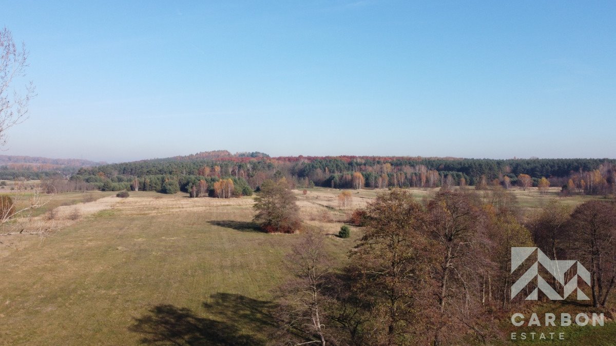 Działka gospodarstwo rolne na sprzedaż Wojkowice Kościelne  7 713m2 Foto 2