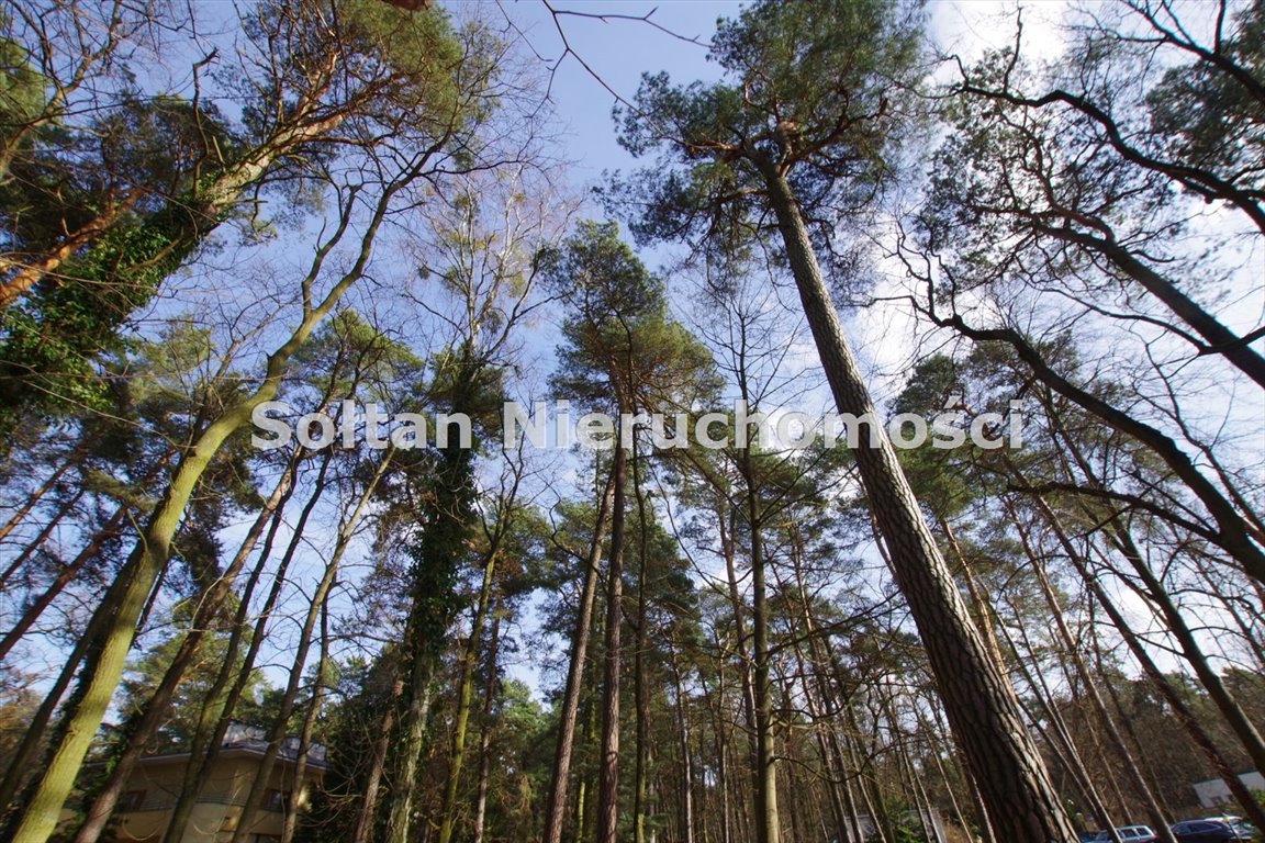 Działka budowlana na sprzedaż Borowina  14 000m2 Foto 6