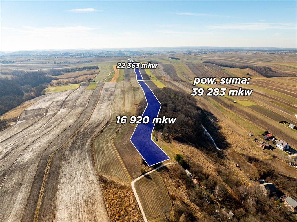 Działka rolna 39 282 m² z dostępem do asfaltu. Sułoszowa, Olkuska  39 283m2 Foto 1