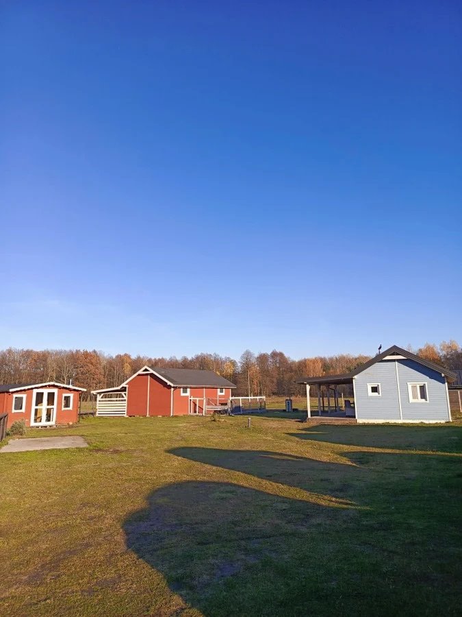 Działka 3 ha z lasem i zabudową w Młodzieszynie Olszynki  29 600m2 Foto 1