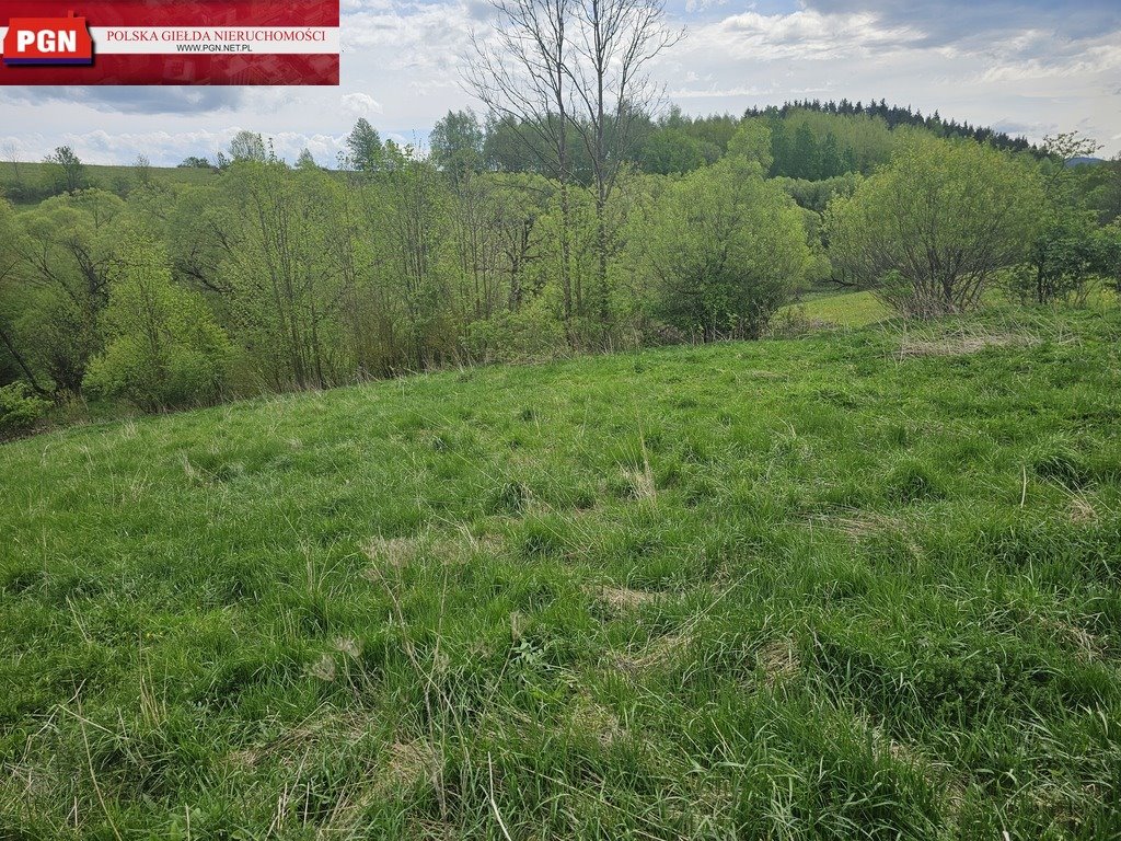 Działka budowlana na sprzedaż Łężyce  5 200m2 Foto 8