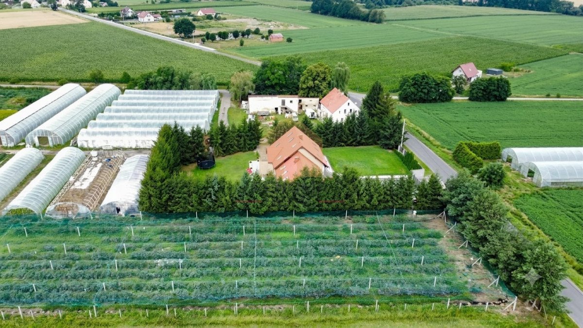 Zdjęcie 3